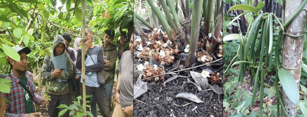 Sustainable Agriculture & Food Systems