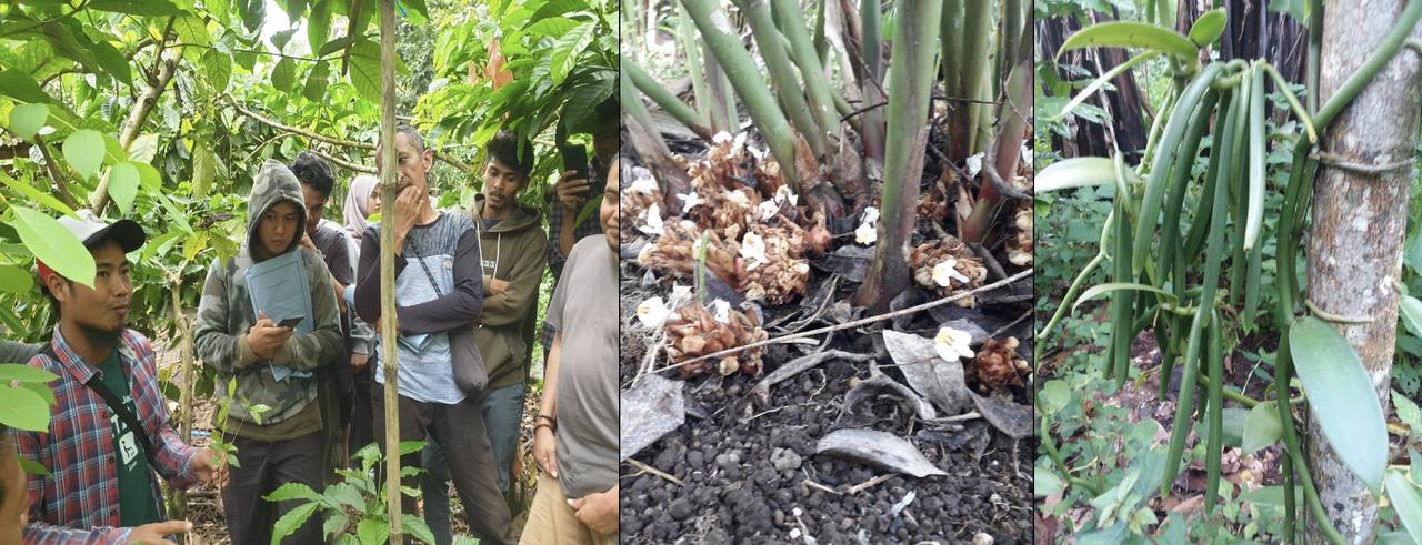 Sustainable agriculture