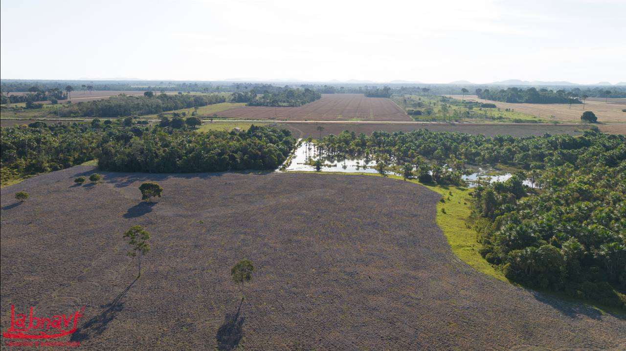 Biodiversity conservation